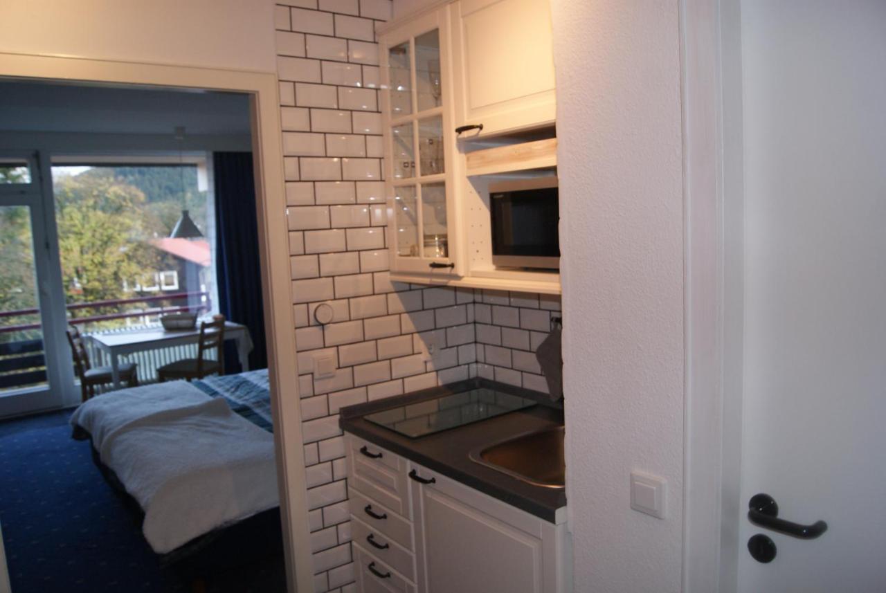 Ferienwohnung Bergblick471 Goslar Exterior foto